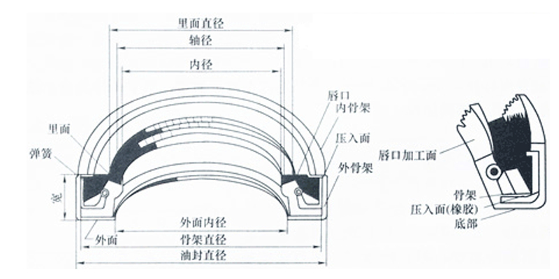 骨架油封