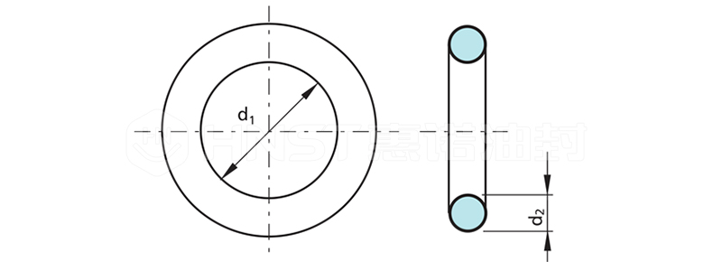 O型圈截面图